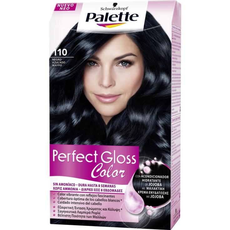 TINTE PALETTE PERF.GLOSS 110 NEGRO AZUL