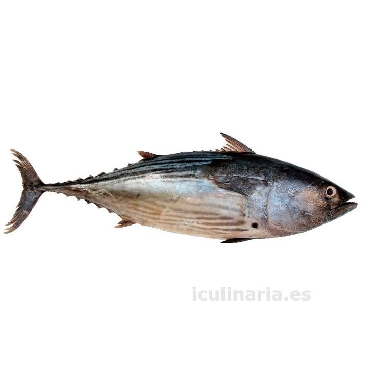 BONITO FRESCO PIEZA 2,5 KG