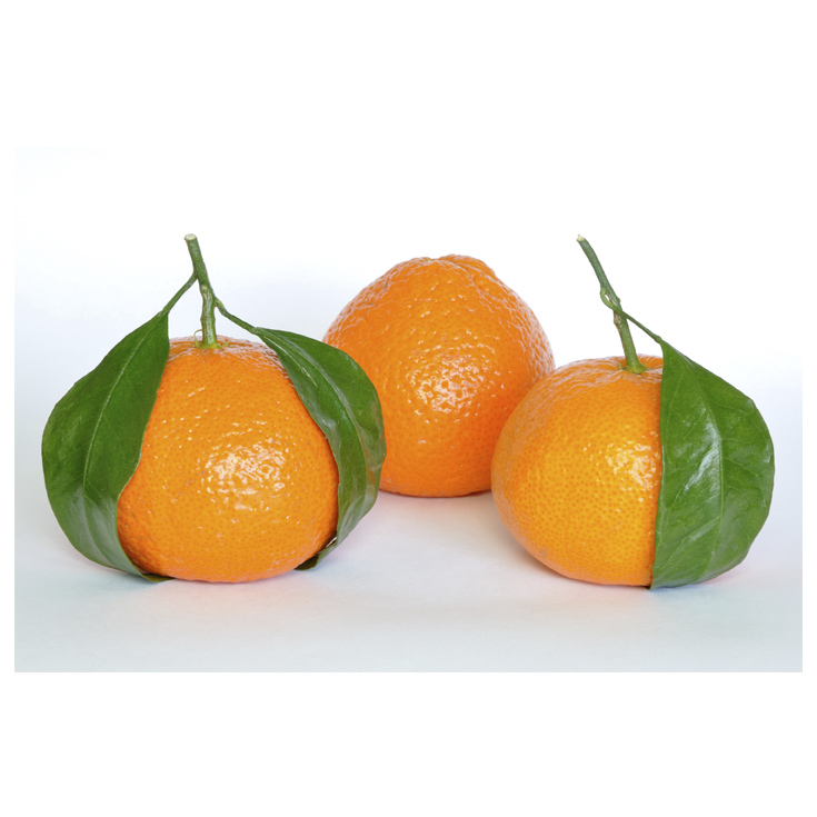 MANDARINA 2º