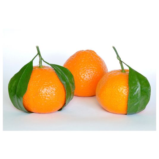 MANDARINA 2º