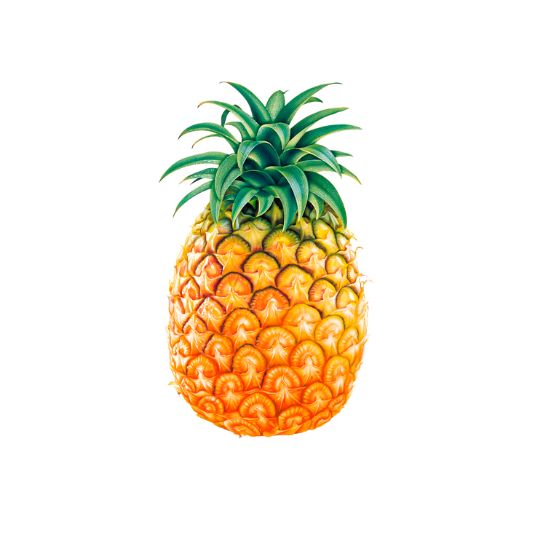 PIÑA FRUITPOINT