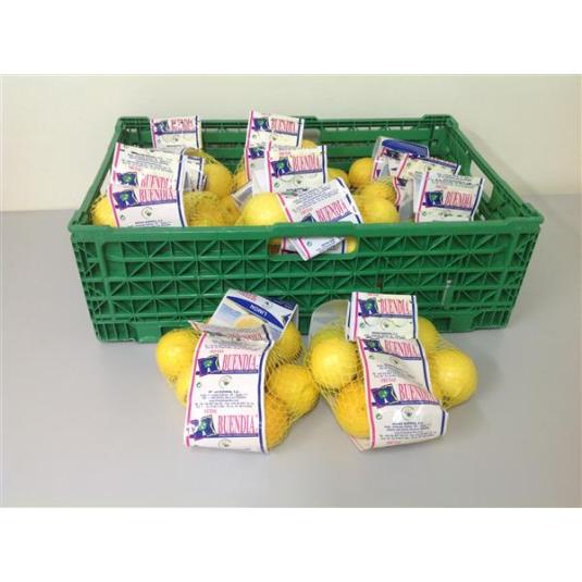 LIMON BOLSA 700GR