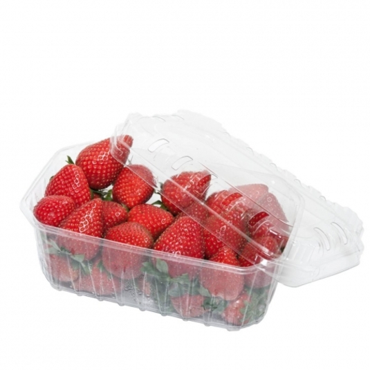 STRAWBERRIES IN CONTAINER 500 G