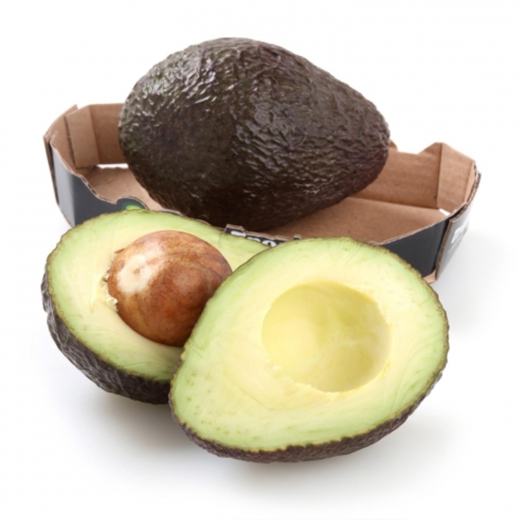 AVOCADO